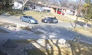 cb_2023_06_17-07-16-03